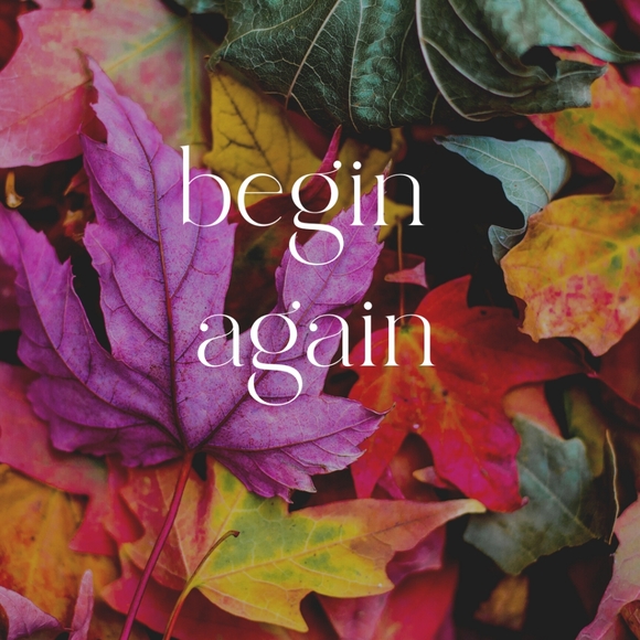 Fall - Picture 7 of 12